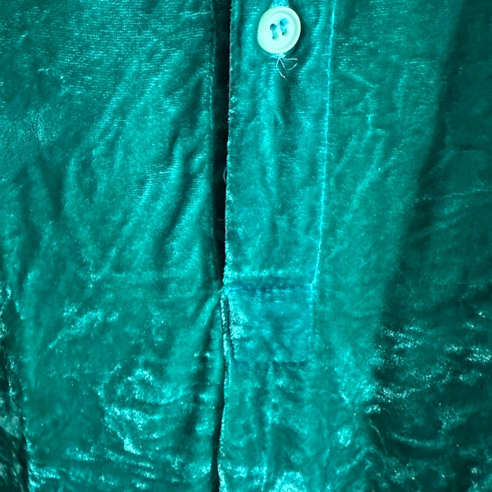CP Shades Emerald Green Velvet Button-Up Blouse - Picture 2 of 7